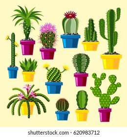 Cactus flat style nature desert flower green cartoon drawing graphic mexican succulent and tropical plant garden art cacti floral vector illustration.