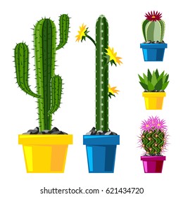Cactus flat style nature desert flower green cartoon drawing graphic mexican succulent and tropical plant garden art cacti floral vector illustration.