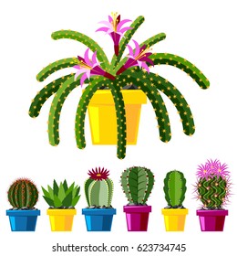 Cactus flat style nature desert flower green cartoon drawing graphic mexican succulent and tropical plant garden art cacti floral vector illustration.