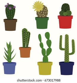Cactus flat style nature desert flower green cartoon drawing graphic vector illustration.