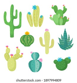 Cactus flat style Vector illustration on white