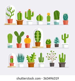 Cactus flat style. Vector illustration.