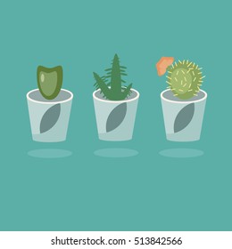 Cactus flat style.Cute cartoon cactus collection flat nature vector illustration.