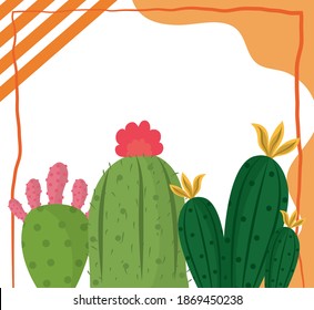 cactus floral nature garden plant decoration card vector illustration