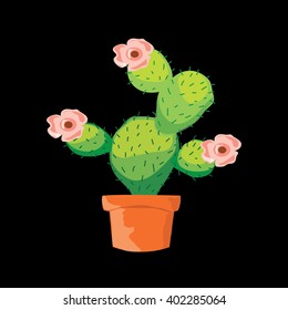 cactus flower