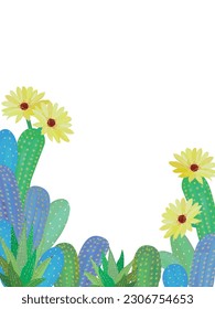 Cactus flower background. Summer plant. 