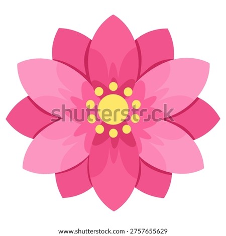 Cactus Flower Bloom with Pink Petals Desert Floral Element Botanical Blossom Illustration