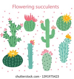 Cactus flower. Bright cacti, aloe leaves, exotic cactuses plants succulent summer desert tropical flora cartoon, botanical vector collection