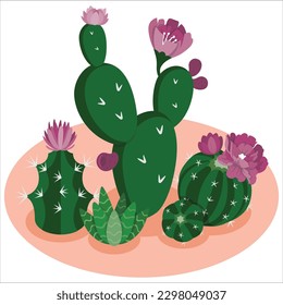 Cactus flower. Bright cacti aloe leaves exotic cactuses plants summer desert tropical flora cartoon botanical vector collection. Cactus plants set of desert among sand and rocks. Realistic vector