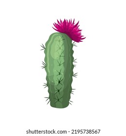 cactus flower cartoon. blossom desert plant. pink cacti. tropical opuntia. green succulent cactus flower vector illustration