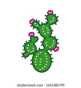 Cactus flower color line icon. Type of cacti. Cactus blooms depends on its age and the care it gets. Pictogram for web page, mobile app, promo. UI UX GUI design element. Editable stroke.