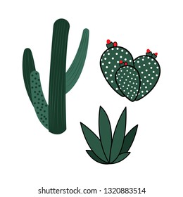 cactus  flower design