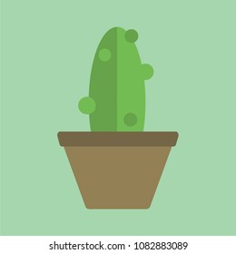 Cactus flower, flat illustration