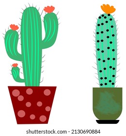 Cactus Flower Flat Illustration Vector