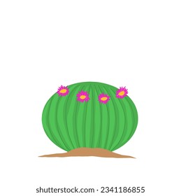 cactus and cactus flower icon design