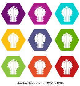 Cactus with flower icon set many color hexahedron isolated on white vector illustration