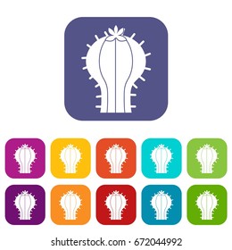 Cactus with flower icons set vector illustration in flat style In colors red, blue, green and other