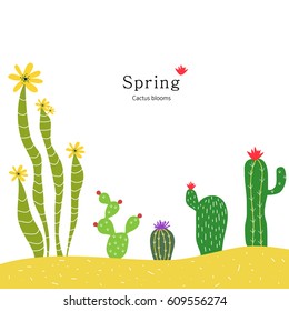 Cactus flower illustration