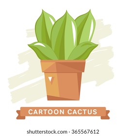 Cactus flower isolated. 