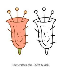 Cactus flower like a bell. Flat color and black and white vector illustration.