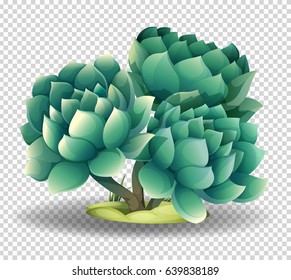 Cactus flower on transparent background illustration