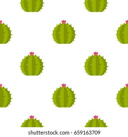Cactus with flower pattern seamless for any design vector illustration