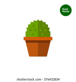 Cactus in flower pot 1