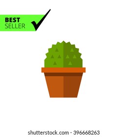 Cactus in flower pot 1