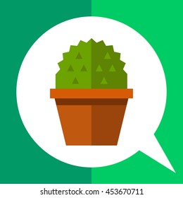 Cactus in flower pot 1