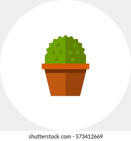 Cactus in flower pot 1