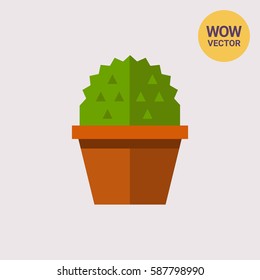 Cactus in flower pot 1