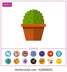 Cactus in flower pot 1