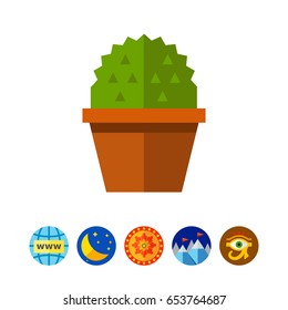 Cactus in flower pot 1