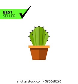 Cactus in flower pot 2