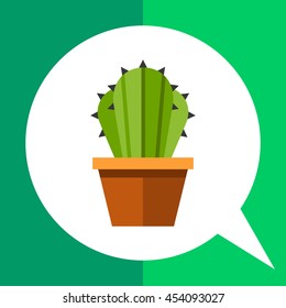 Cactus in flower pot 2