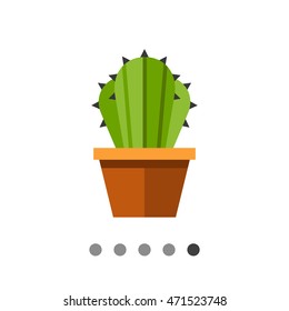 Cactus in flower pot 2