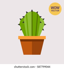 Cactus in flower pot 2