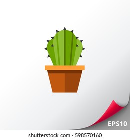 Cactus in flower pot 2