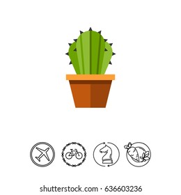 Cactus in flower pot 2