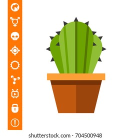 Cactus in flower pot 2