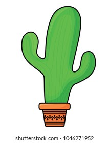 Cactus flower in pot 