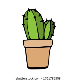 Cactus in a flower pot