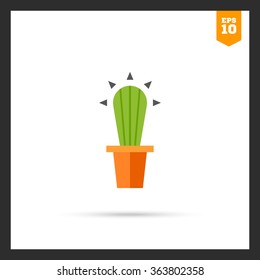 Cactus in flower pot