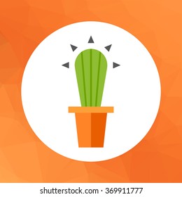 Cactus in flower pot