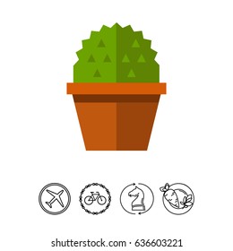 Cactus in flower pot 