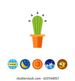 Cactus in flower pot