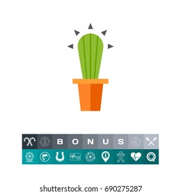 Cactus in flower pot