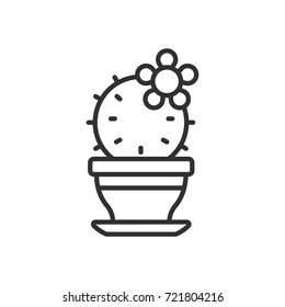 Cactus with flower in a pot