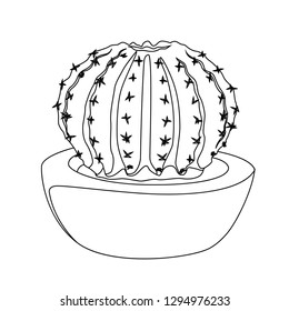 cactus in flower pot contour vector ellustration