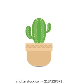Cactus in flower pot flat illustration vector design isolated on white background. Botany illustration